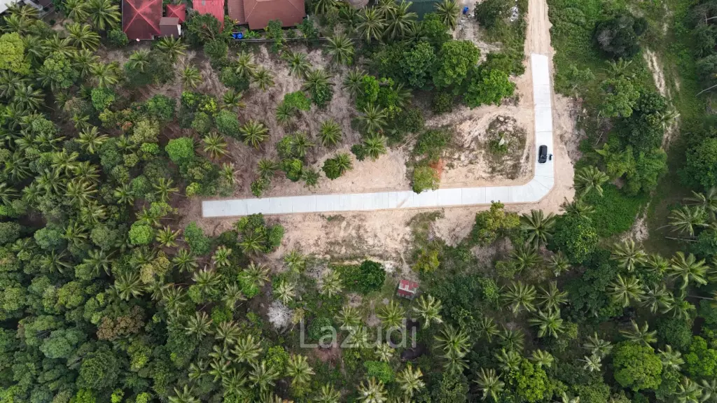 Lush green plot 1248 sqm