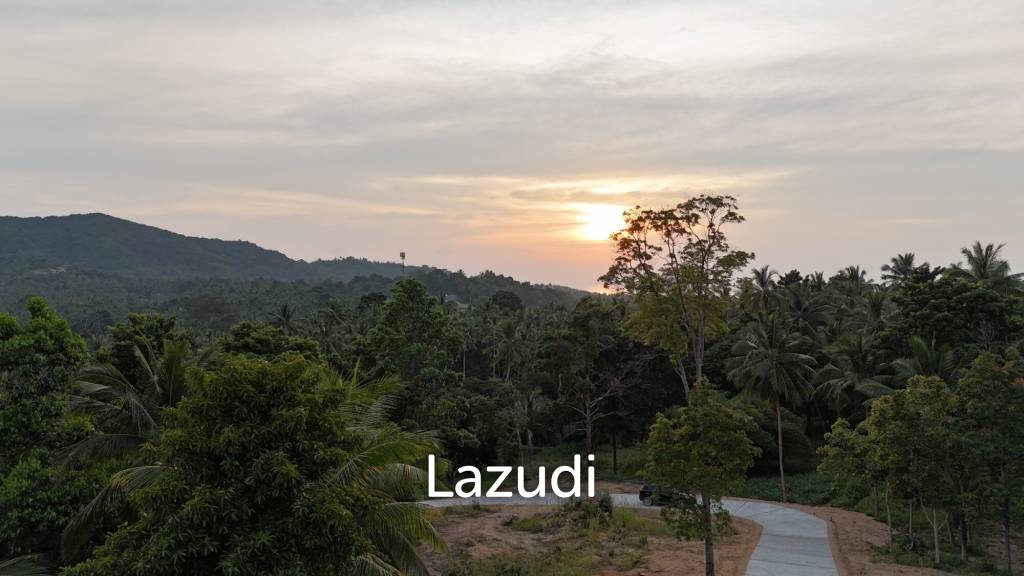 Lush green plot 1248 sqm
