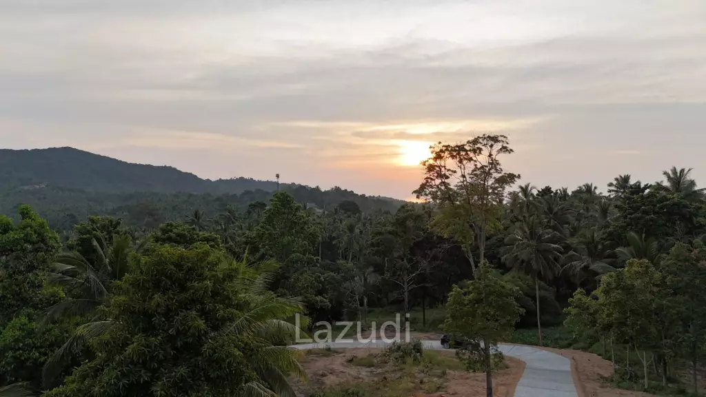 Lush green plot 1248 sqm