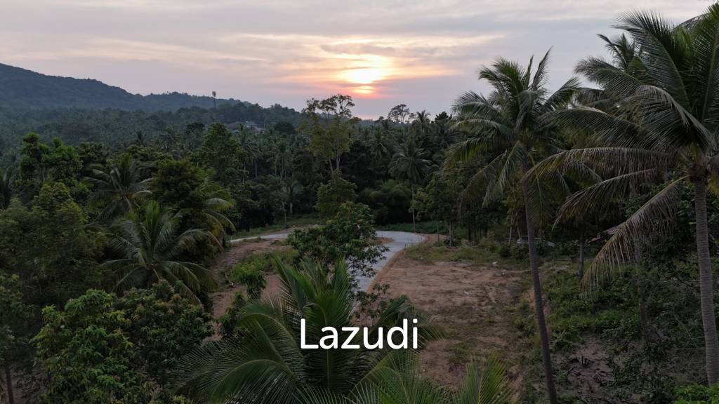 Lush green plot 1248 sqm