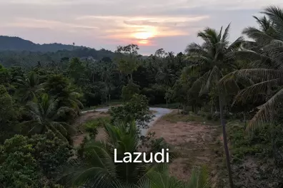 Lush green plot 1248 sqm