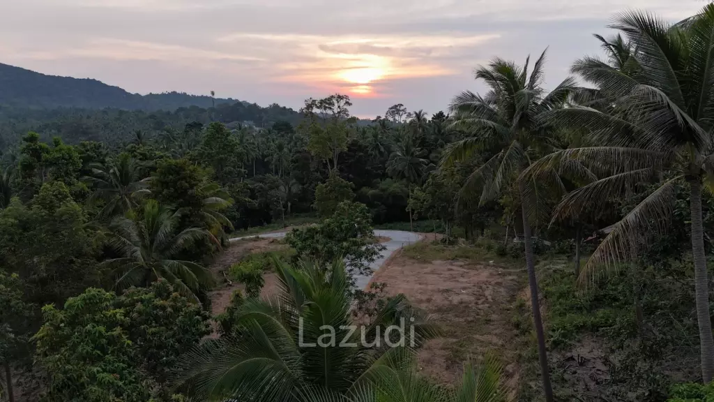 Lush green plot 1248 sqm