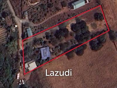 3 Rai 34 SQ.W Land For Sale In Bangsaray
