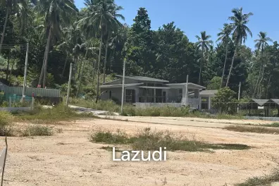4 Peaceful Plots Among Coconut Trees