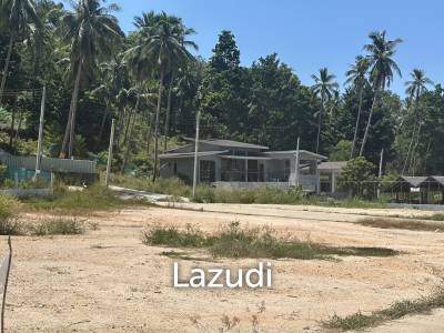 4 Peaceful Plots Among Coconut Trees