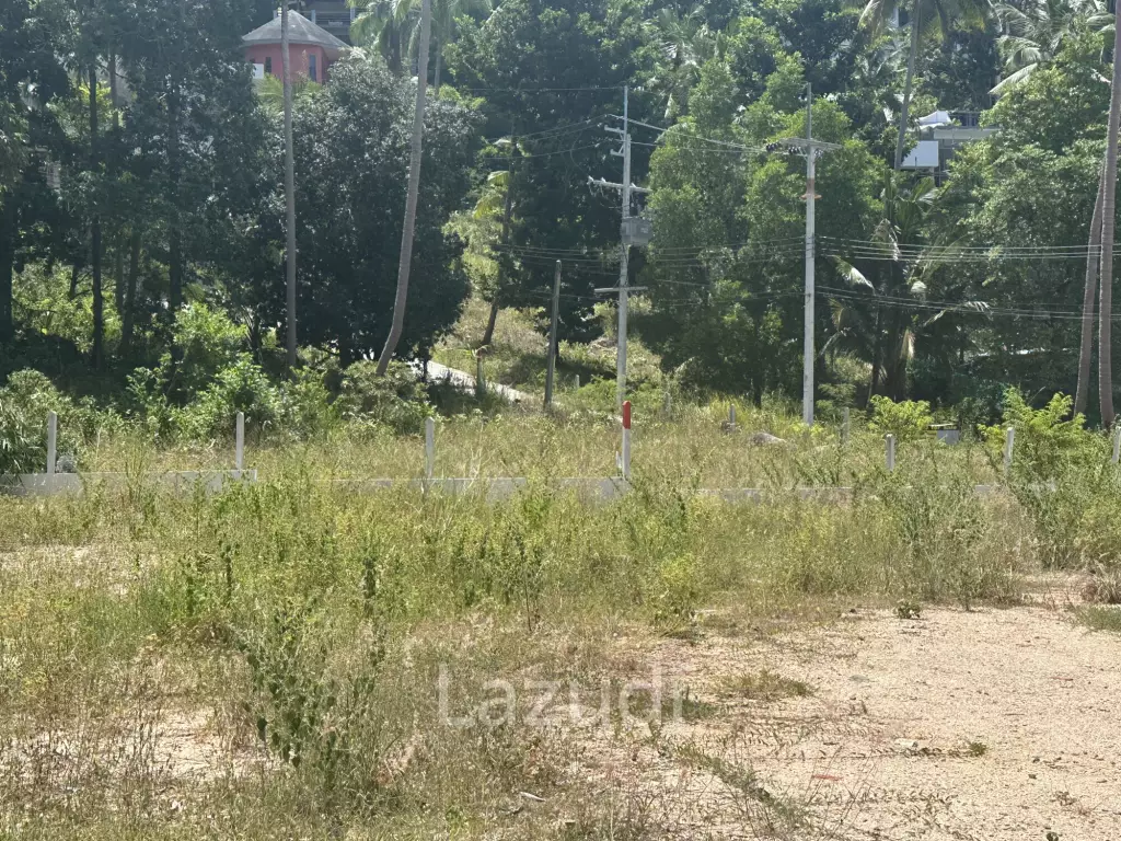 4 Peaceful Plots Among Coconut Trees