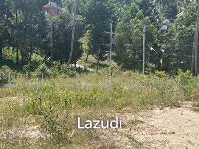 4 Peaceful Plots Among Coconut Trees