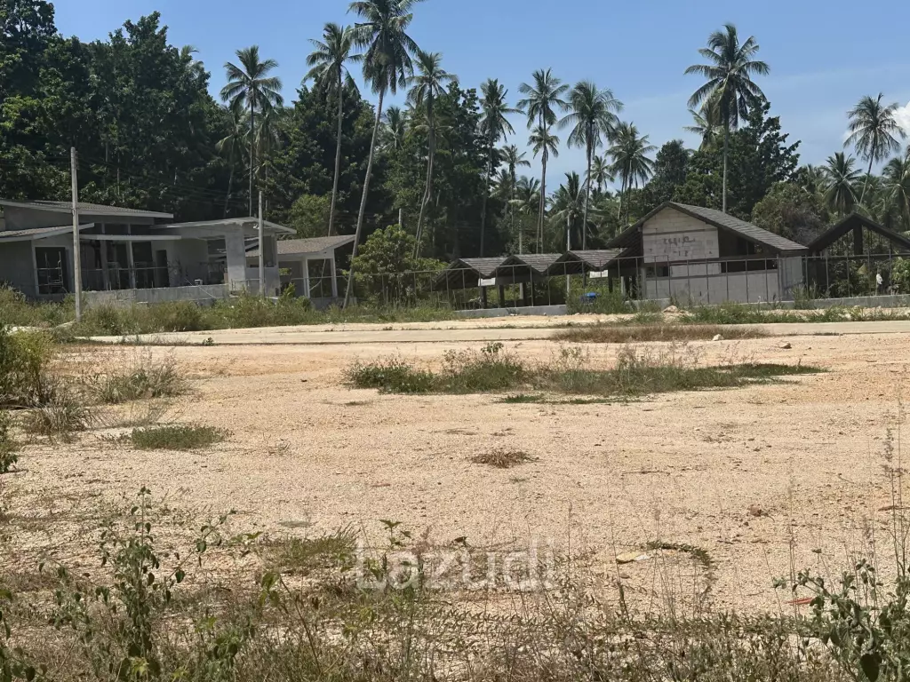 4 Peaceful Plots Among Coconut Trees