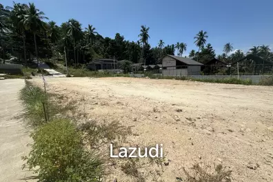 4 Peaceful Plots Among Coconut Trees