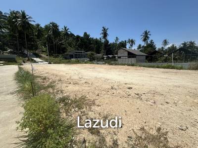4 Peaceful Plots Among Coconut Trees