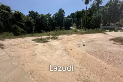 4 Peaceful Plots Among Coconut Trees