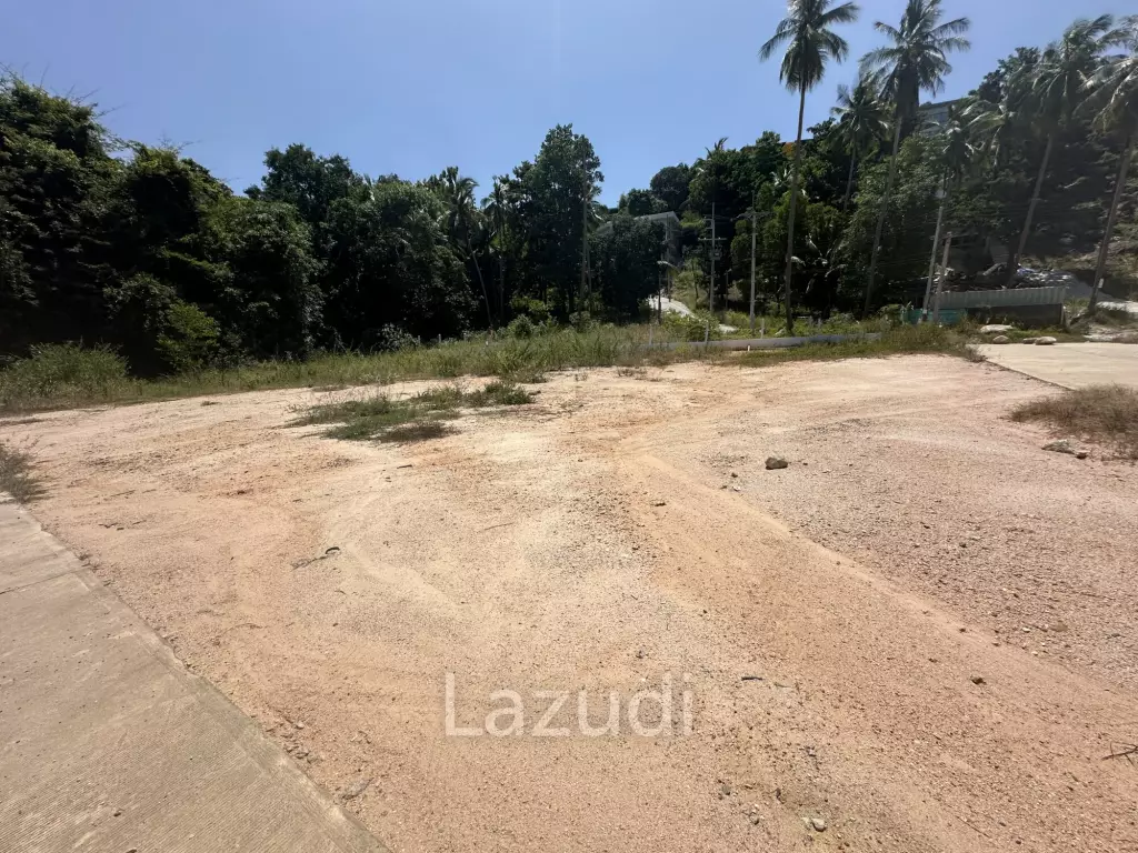 4 Peaceful Plots Among Coconut Trees