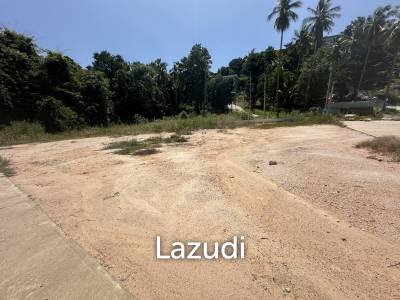 4 Peaceful Plots Among Coconut Trees