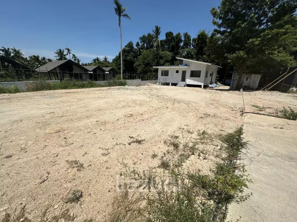 4 Peaceful Plots Among Coconut Trees