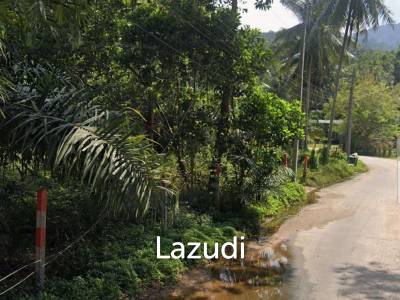 Land Surrounded by Nature – Near the Waterfall