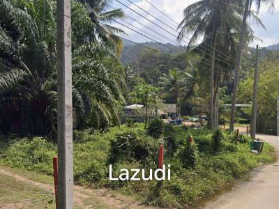 Land Surrounded by Nature – Near the Waterfall