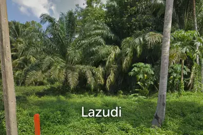 Land Surrounded by Nature – Near the Waterfall