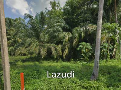 Land Surrounded by Nature – Near the Waterfall