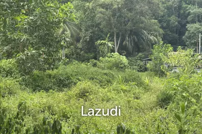 Land Surrounded by Nature – Near the Waterfall