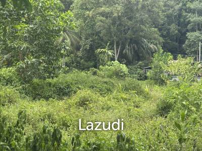 Land Surrounded by Nature – Near the Waterfall