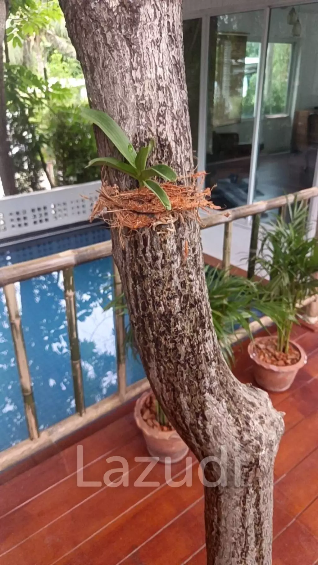 SAI NOI BEACH: UNIQUE pool villa a few 100 m from beachfront