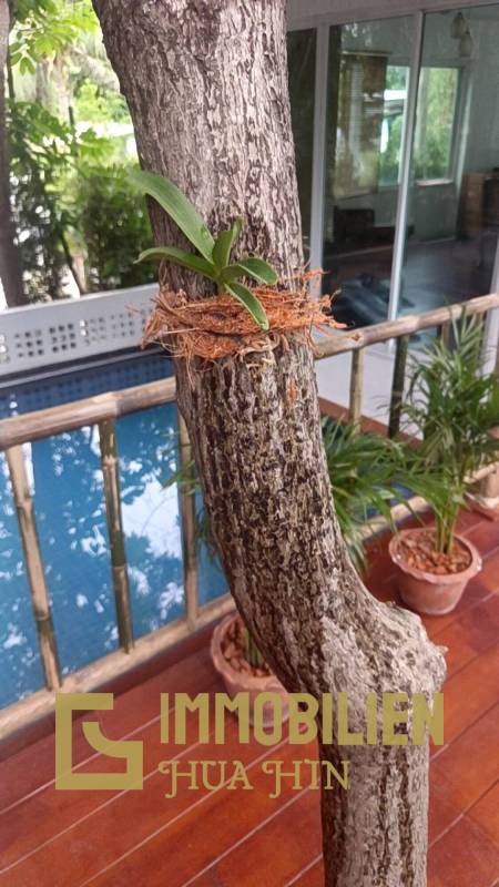 SAI NOI BEACH: Seltene Gelegenheit / Pool Villa NUR 100 m vom Strand entfernt