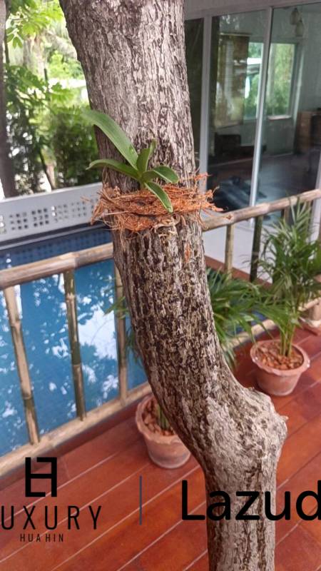 SAI NOI BEACH: UNIQUE pool villa a few 100 m from beachfront