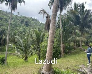 Nature Immersed Plot  Mountain Rock View
