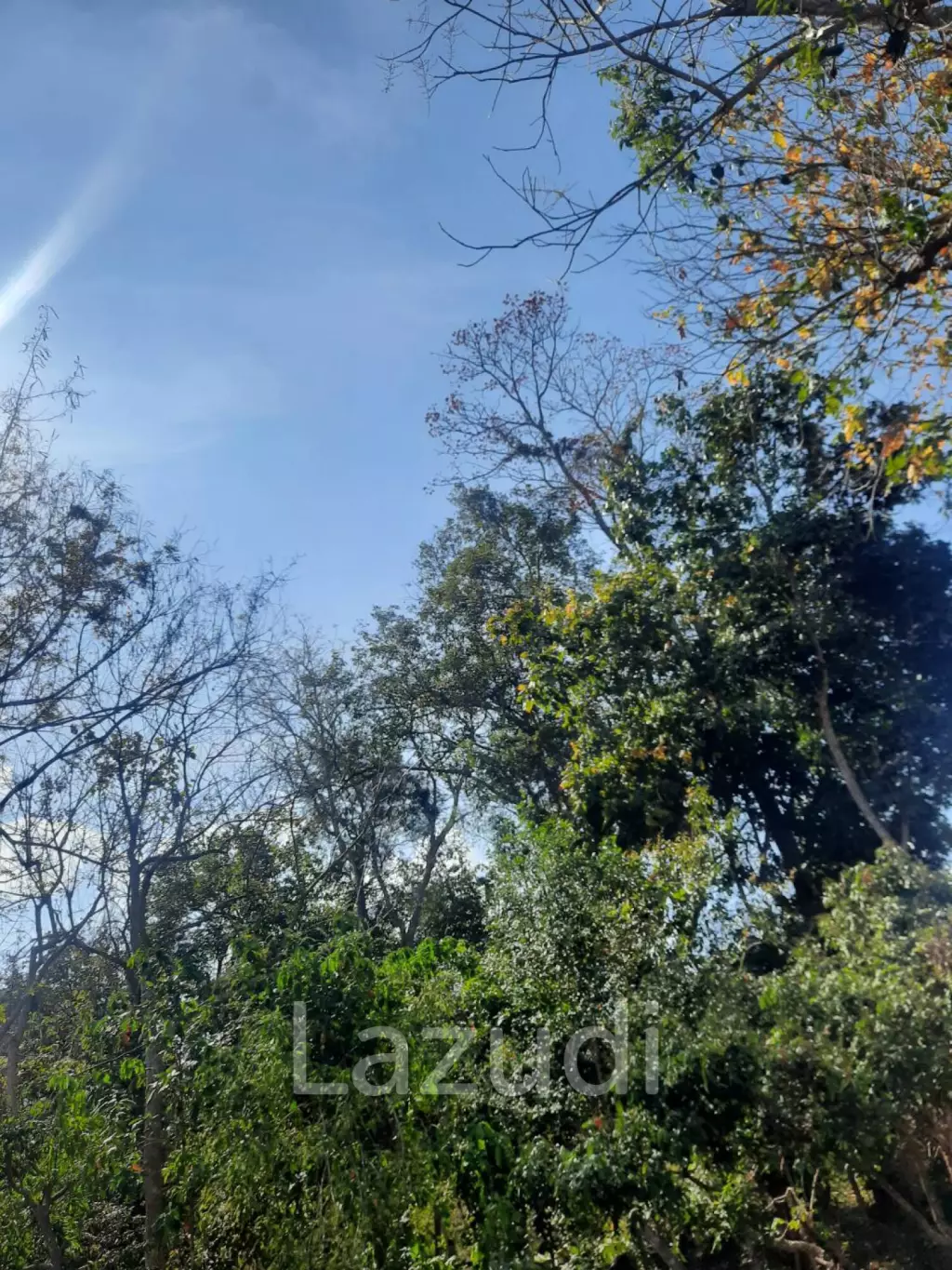 9 Rai Land For Sale on a hillside surrounded by trees.