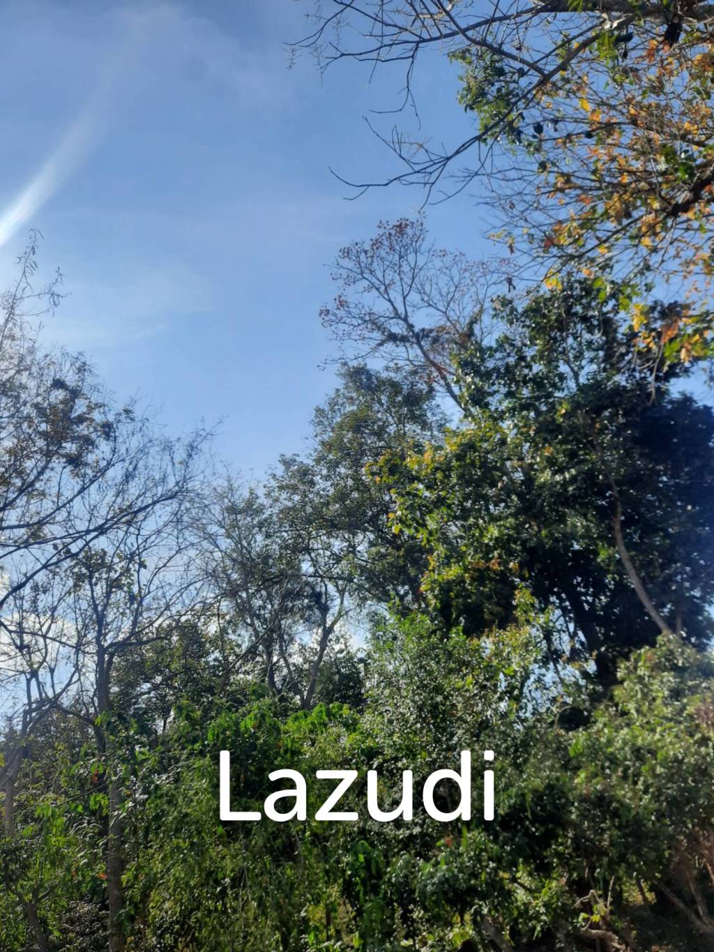 9 Rai Land For Sale on a hillside surrounded by trees.