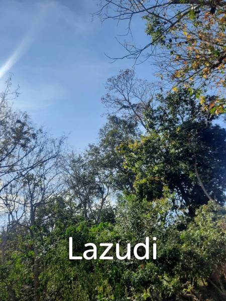 9 Rai Land For Sale on a hillside surrounded by trees.