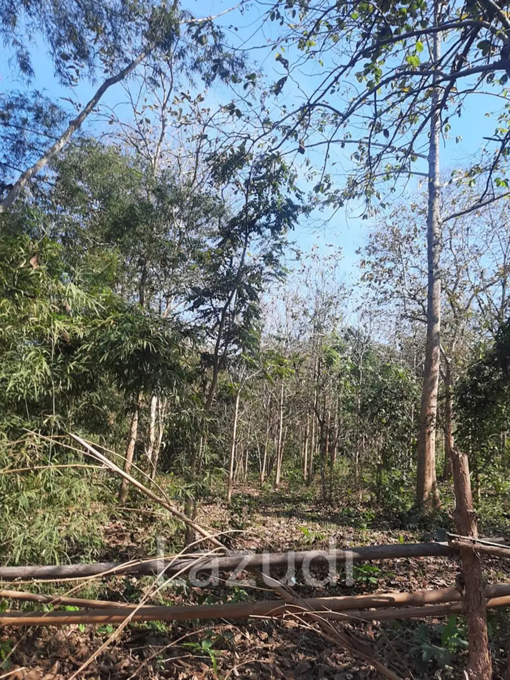 9 Rai Land For Sale on a hillside surrounded by trees.