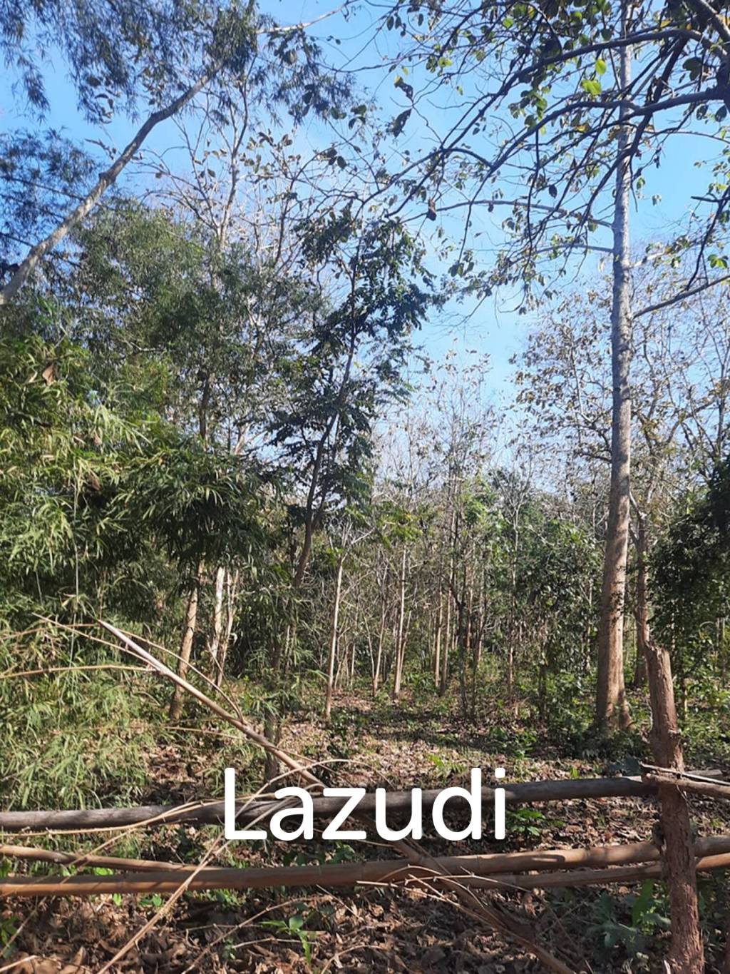 9 Rai Land For Sale on a hillside surrounded by trees.