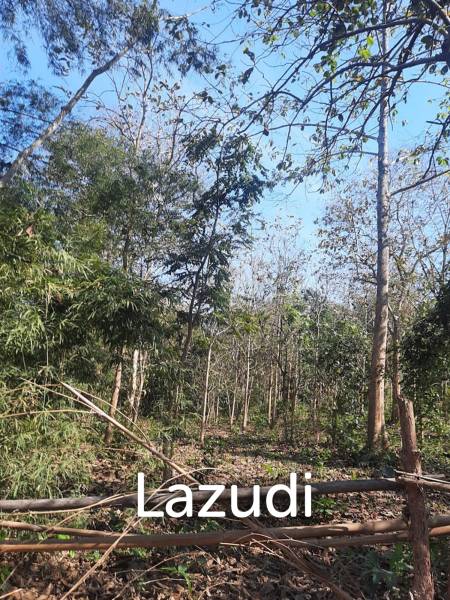 9 Rai Land For Sale on a hillside surrounded by trees.