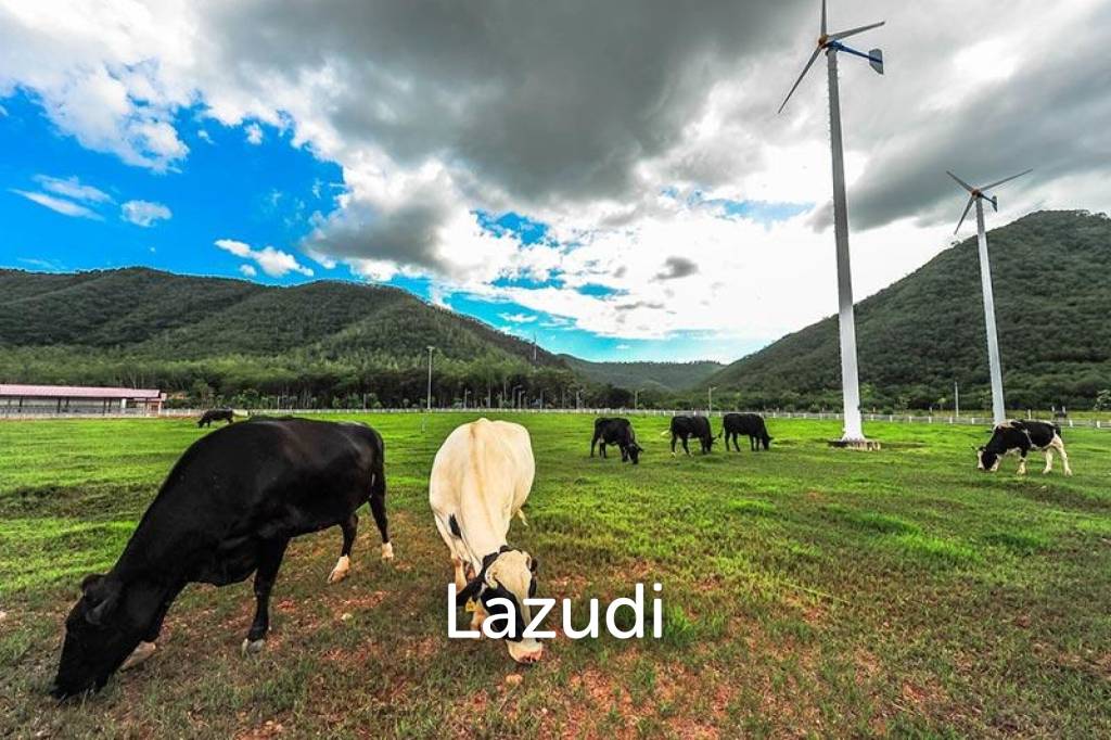 24 Rai Land for Sale Close to Highway no.3510