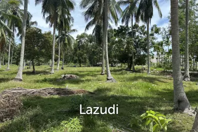 Land 1 Rai In Madewan