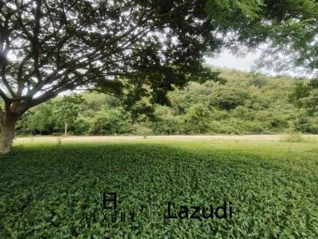 Absolute Beachfront Land in Sam Roi Yot