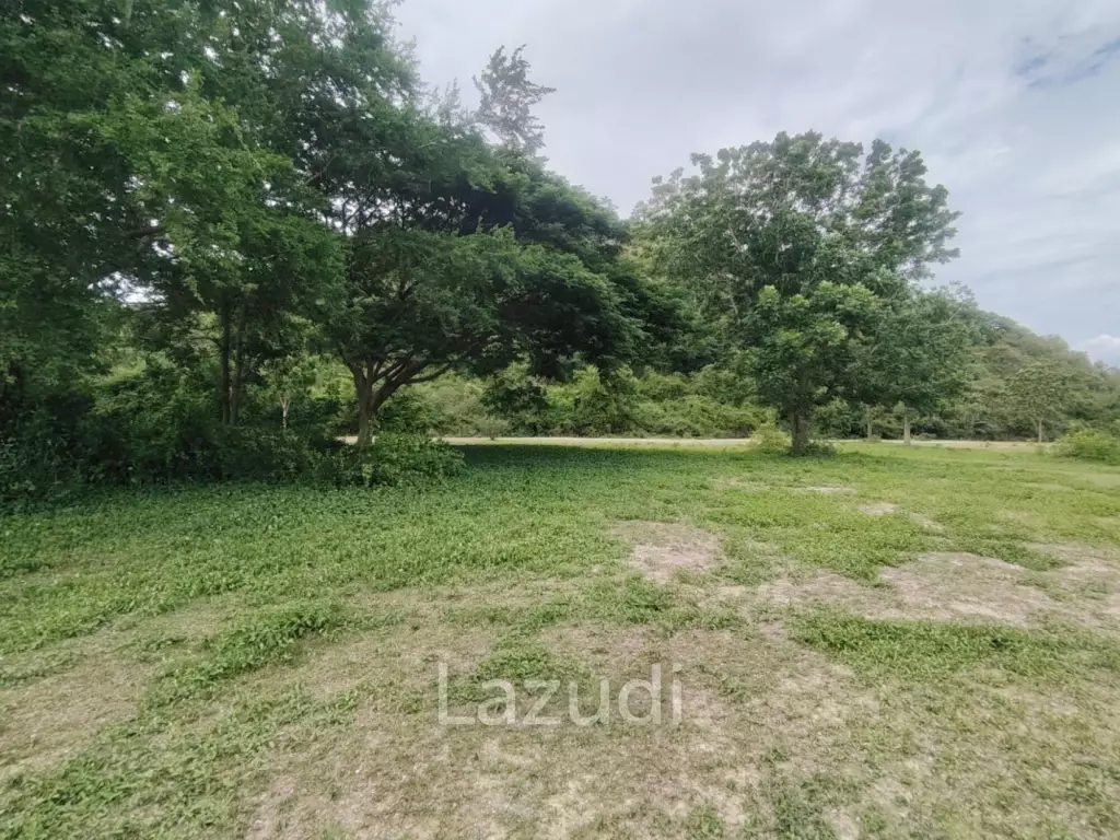 Absolute Beachfront Land in Sam Roi Yot
