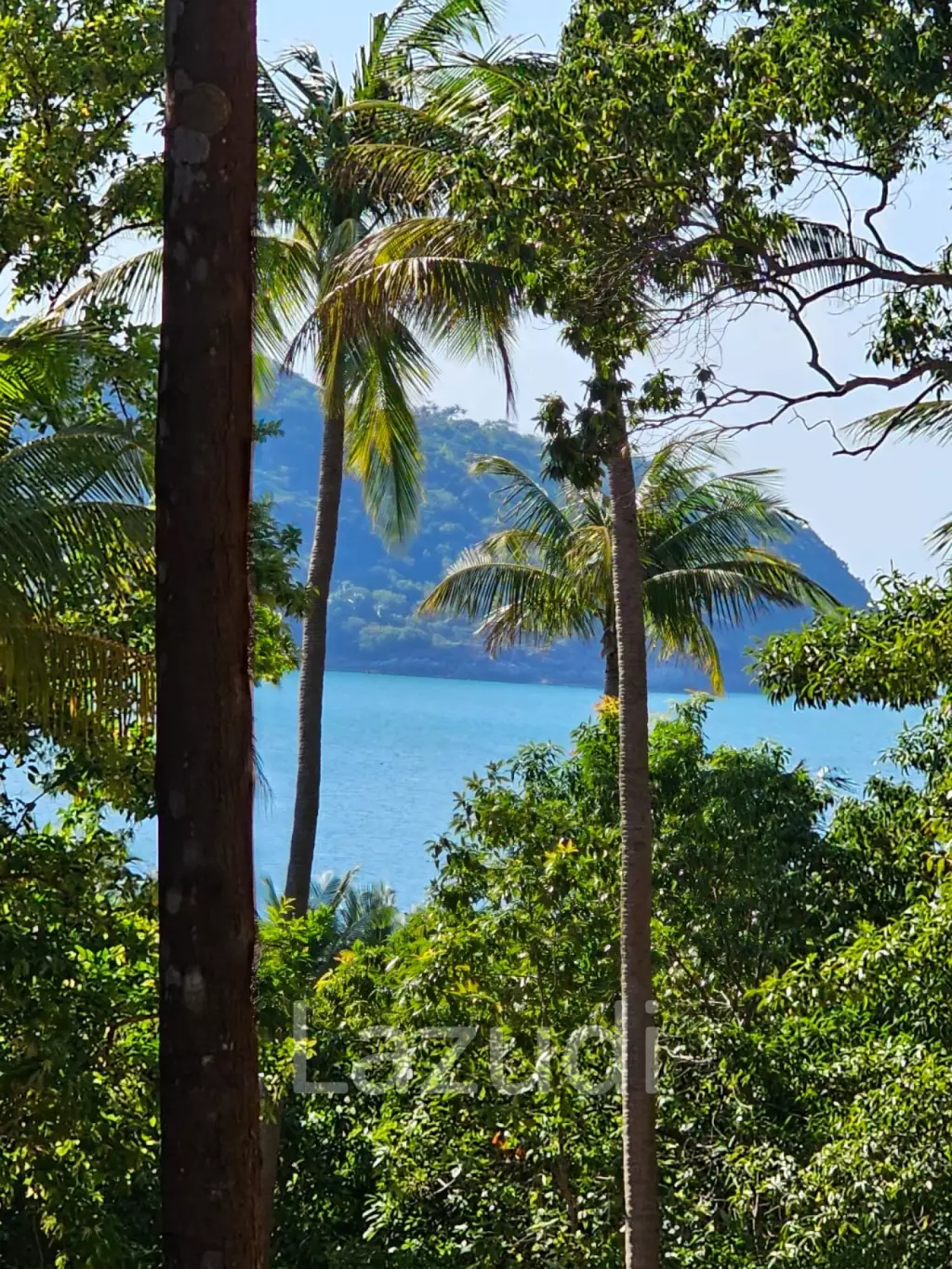 1,232 sq.m. Land with Sea View – Ideal for 4 Luxury Villas