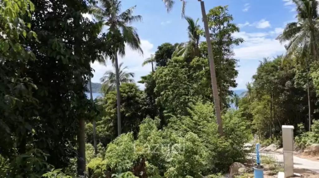1,232 sq.m. Land with Sea View – Ideal for 4 Luxury Villas