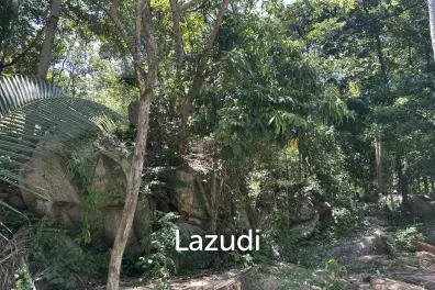 1,232 sq.m. Land with Sea View – Ideal for 4 Luxury Villas