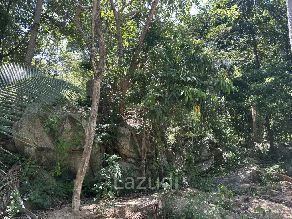 1,232 sq.m. Land with Sea View – Ideal for 4 Luxury Villas
