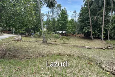 768 sq.m. Land – Near Chaloklum