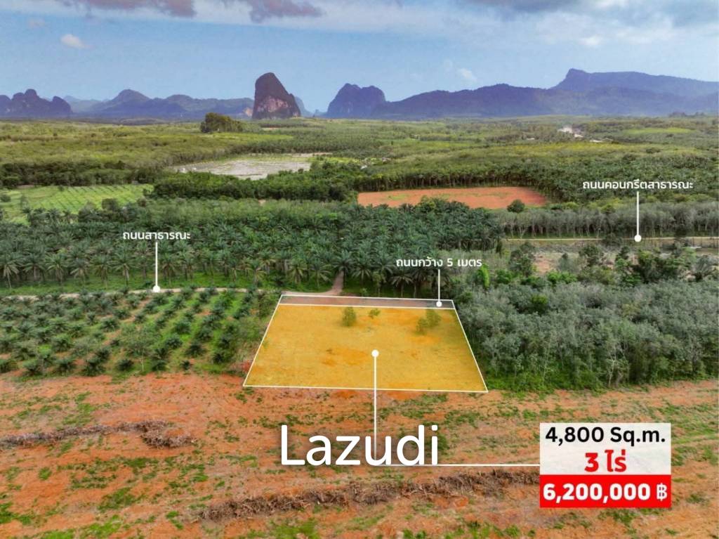 Expansive 4800 Sq.m. Plot in Scenic Nong Thale Krabi