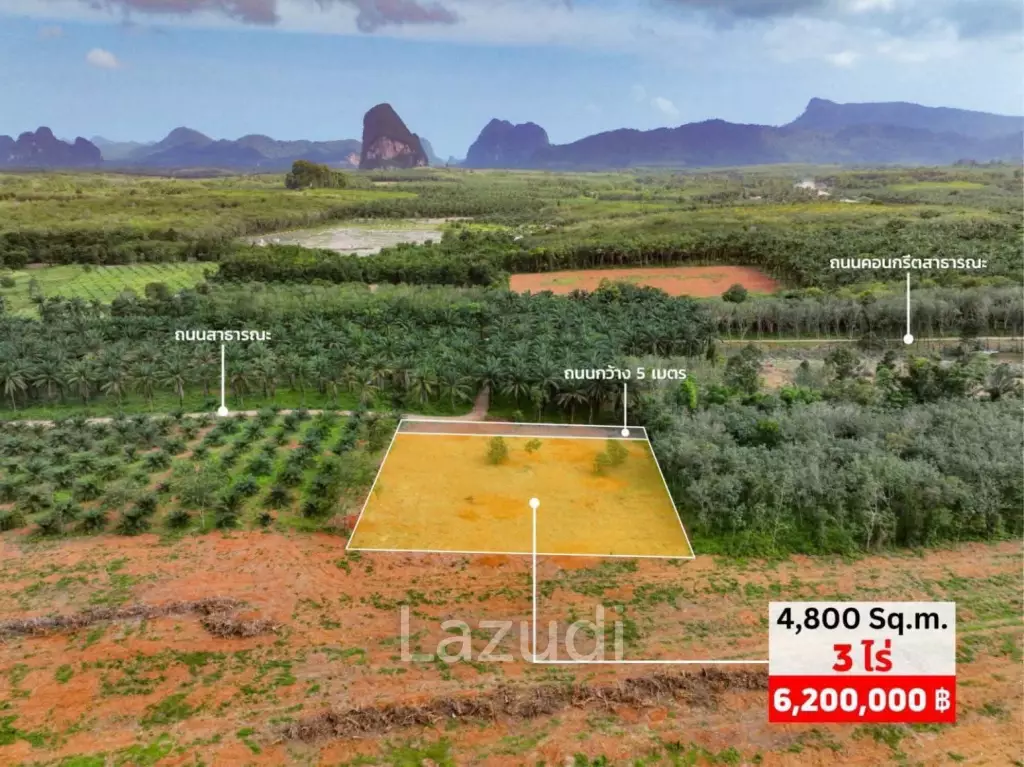 Expansive 4800 Sq.m. Plot in Scenic Nong Thale Krabi