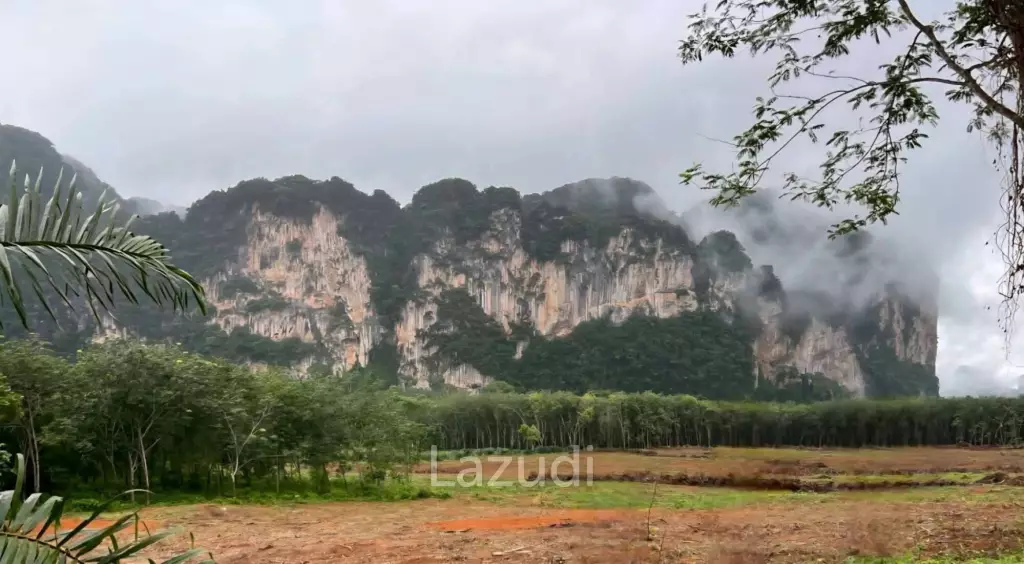Expansive 4800 Sq.m. Plot in Scenic Nong Thale Krabi
