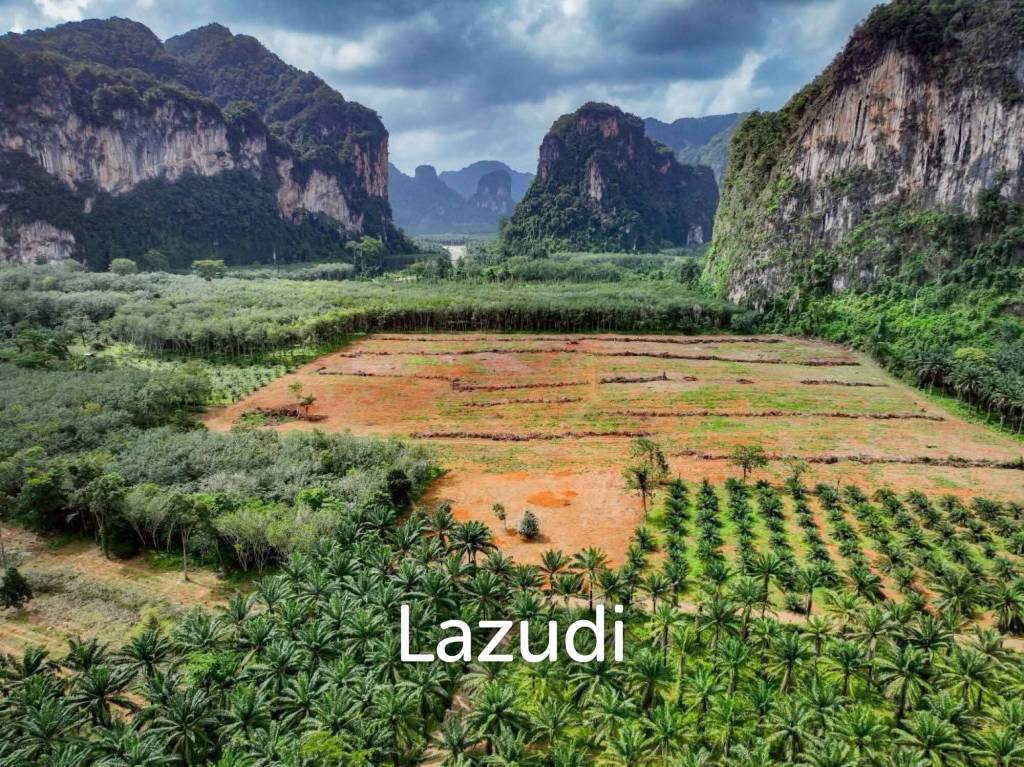 Expansive 4800 Sq.m. Plot in Scenic Nong Thale Krabi