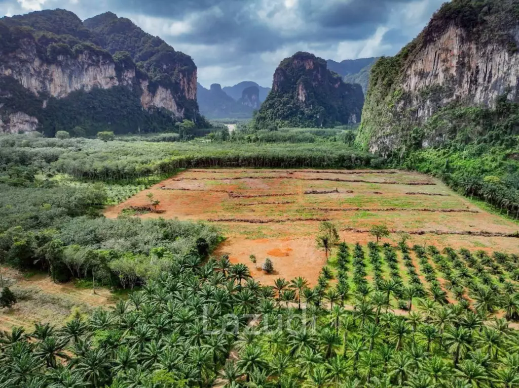 Expansive 4800 Sq.m. Plot in Scenic Nong Thale Krabi
