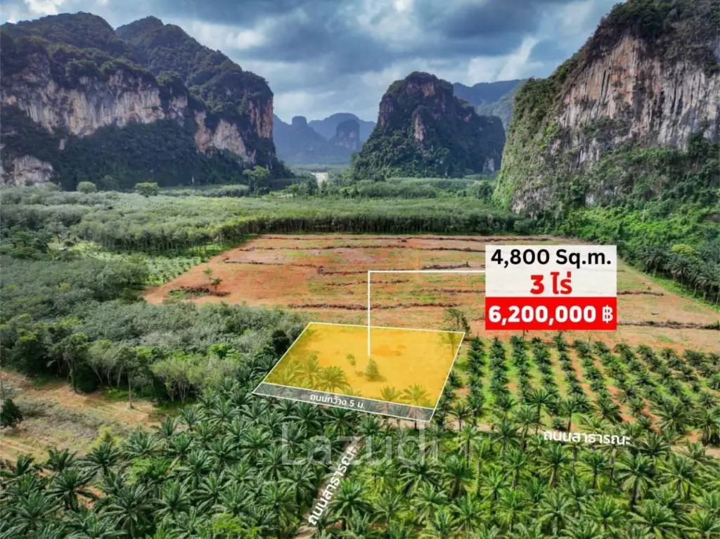 Expansive 4800 Sq.m. Plot in Scenic Nong Thale Krabi
