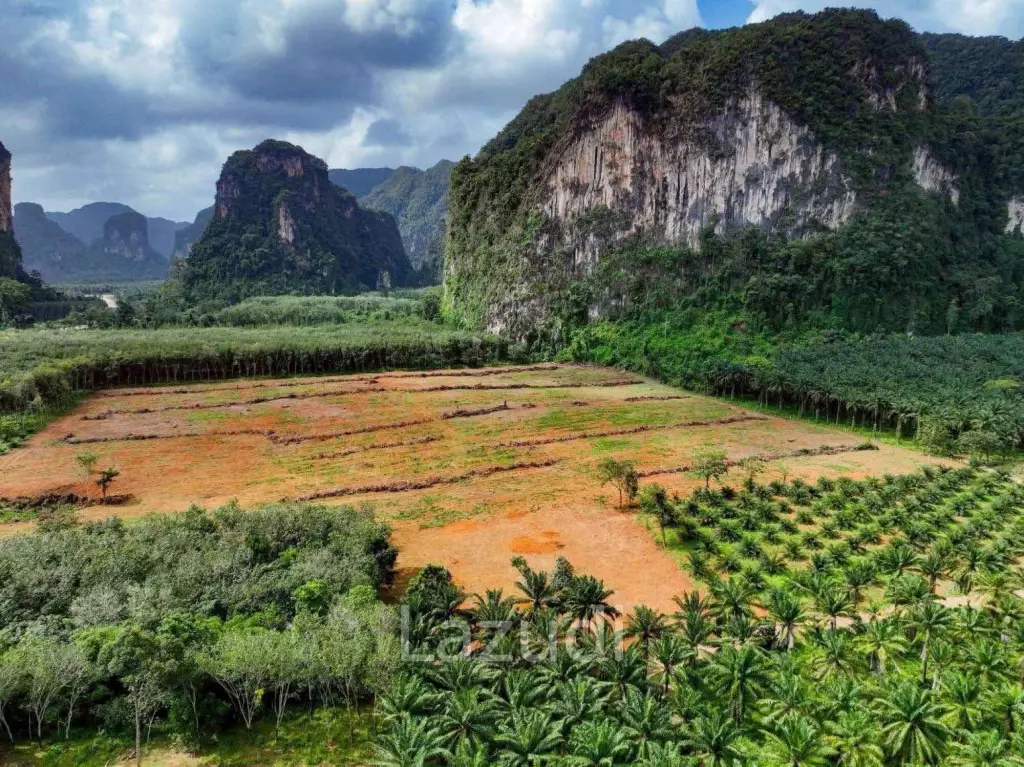Expansive 4800 Sq.m. Plot in Scenic Nong Thale Krabi